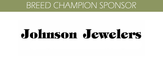 Johnson Jewelers